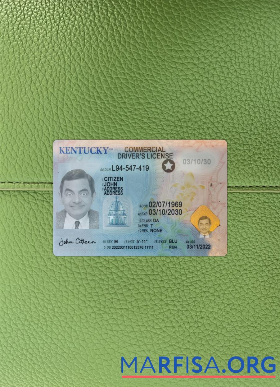 Printable USA Kentucky driving license 2022 present photolook sample